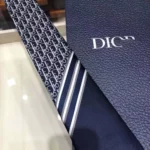DIOR Luxurious Tie